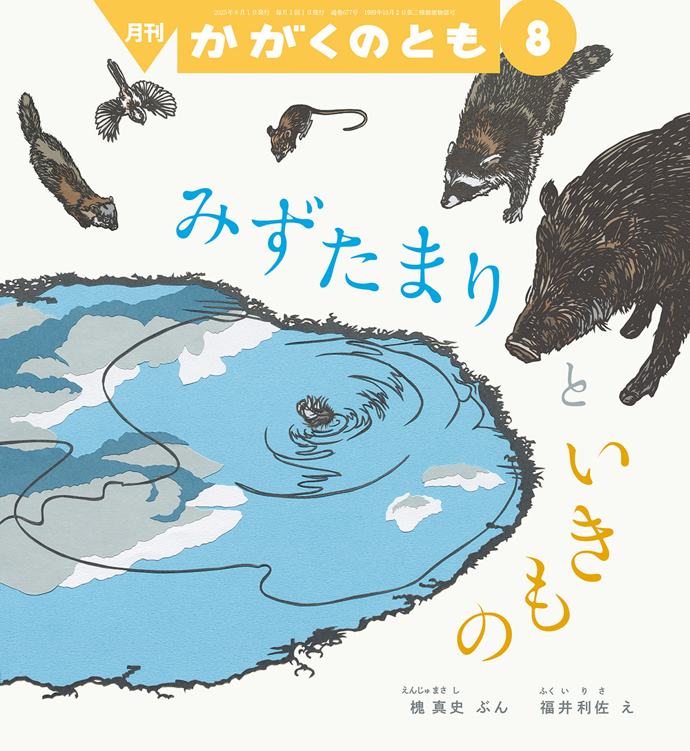 <かがくのとも>みずたまりと いきもの