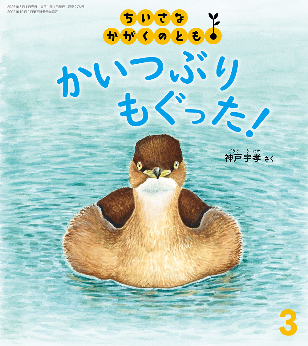 <ちいさなかがくのとも>かいつぶり もぐった！