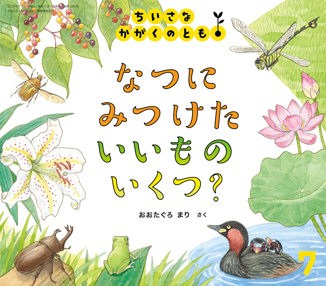 <ちいさなかがくのとも>なつに みつけた いいもの いくつ？