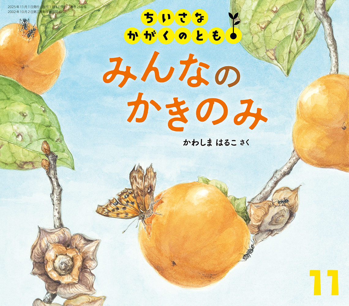 <ちいさなかがくのとも> みんなの かきのみ