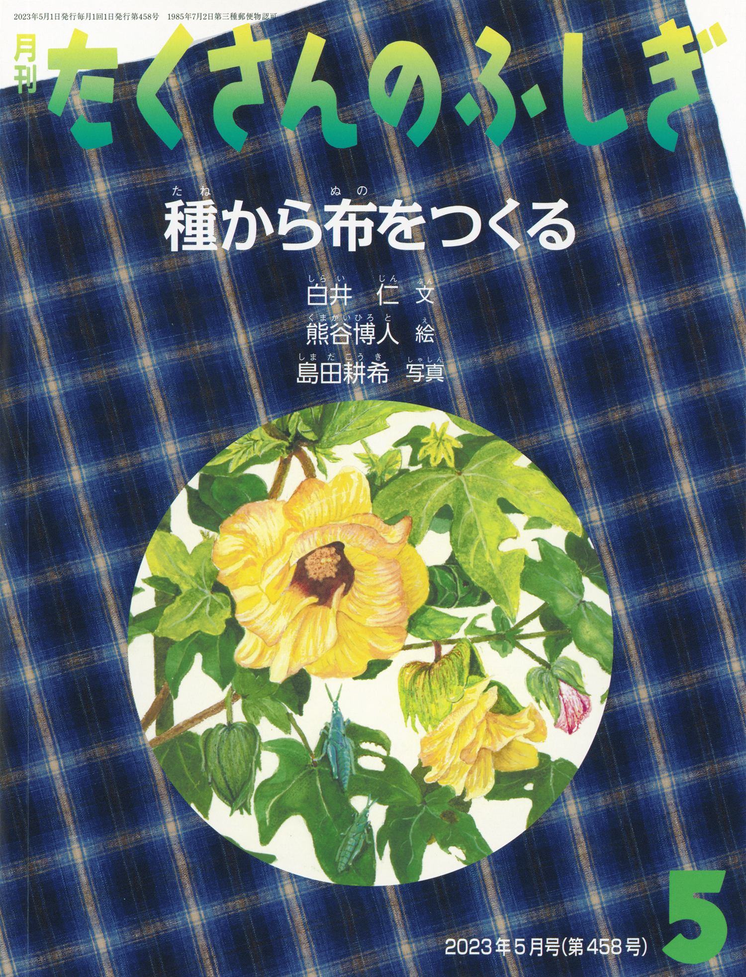 <たくさんのふしぎ>種から布をつくる2023年05月号