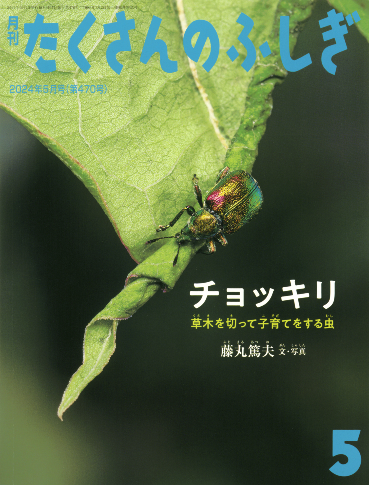 <たくさんのふしぎ>チョッキリ2024年05月号