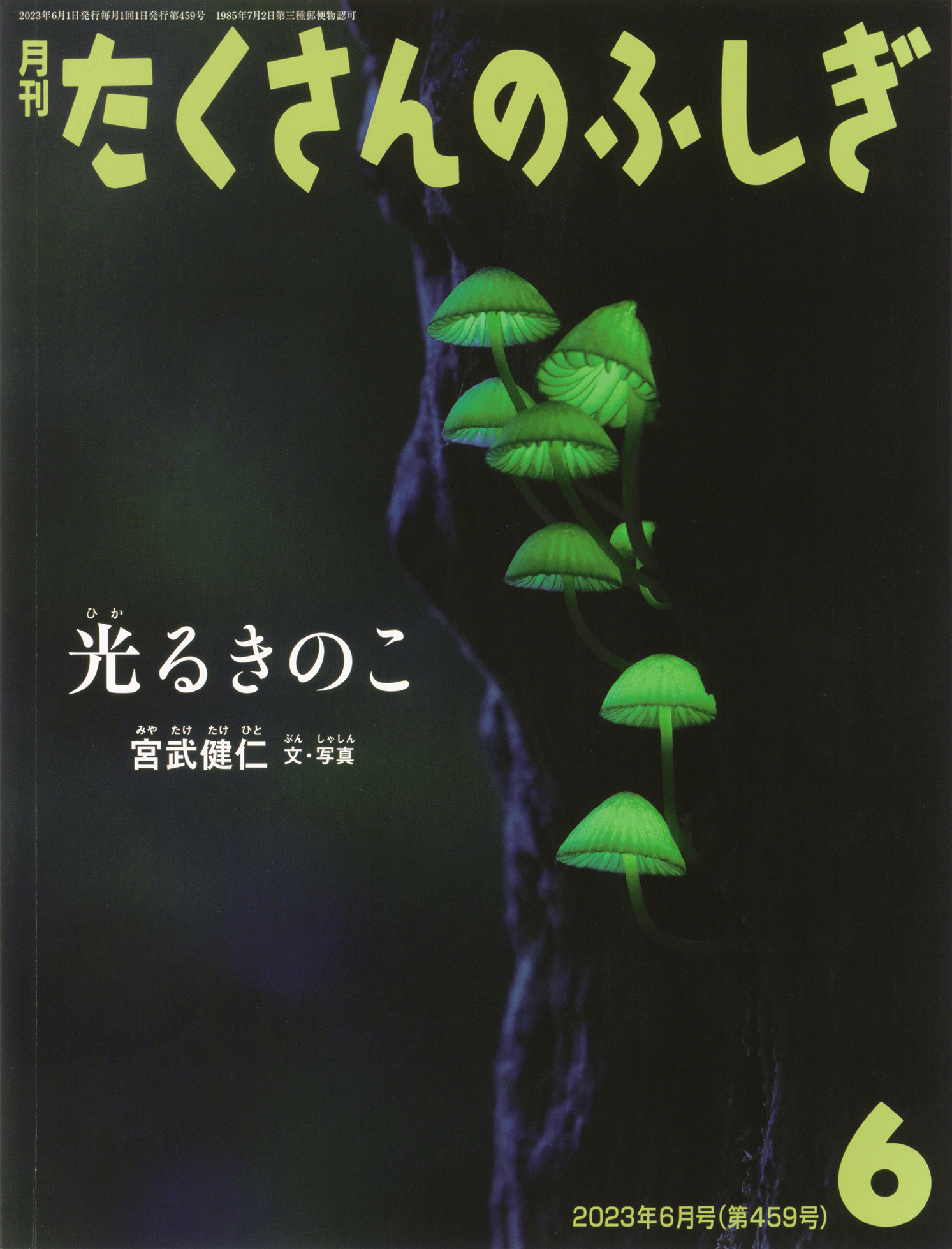 <たくさんのふしぎ>光るきのこ2023年06月号