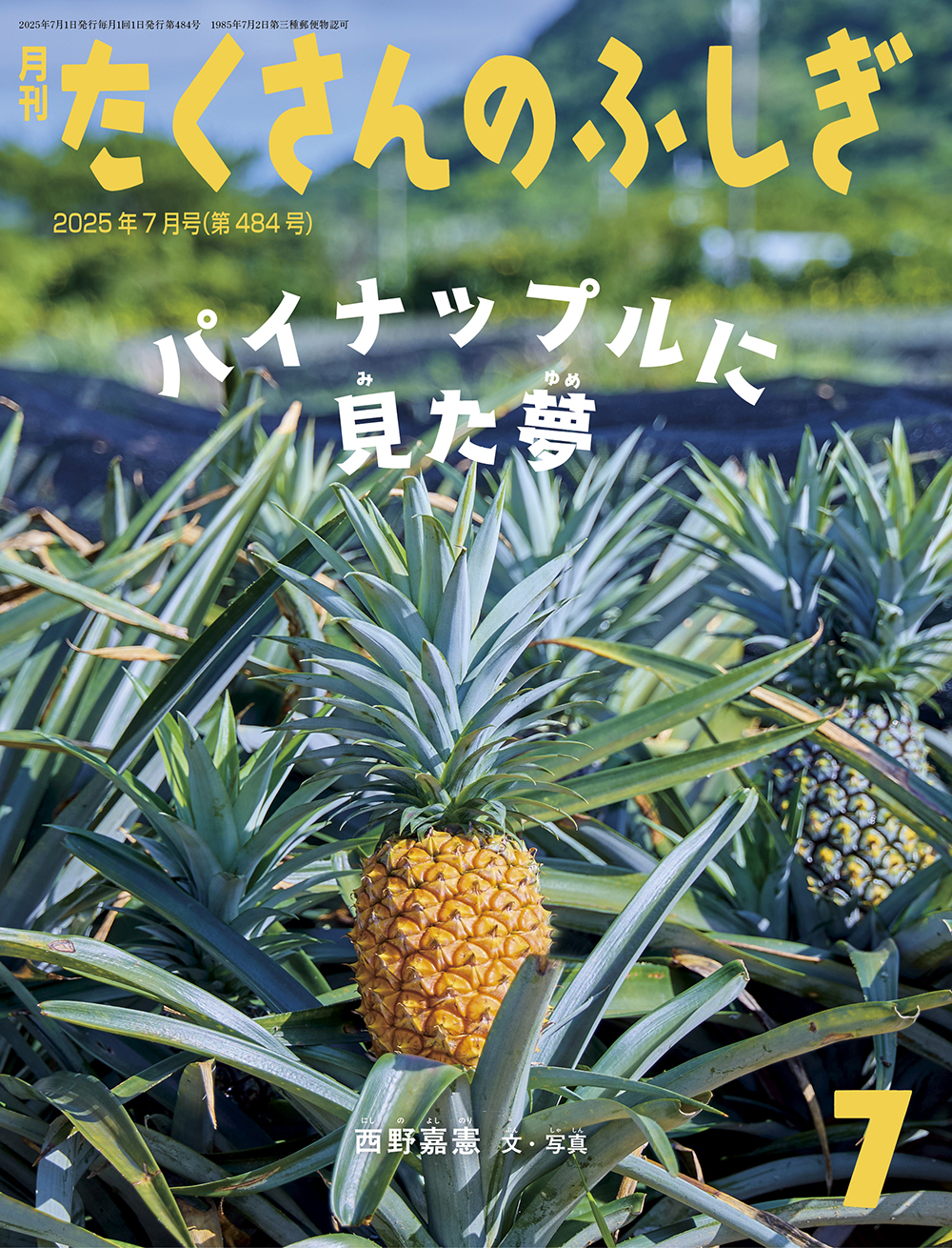 <たくさんのふしぎ>パイナップルに見た夢2025年07月号