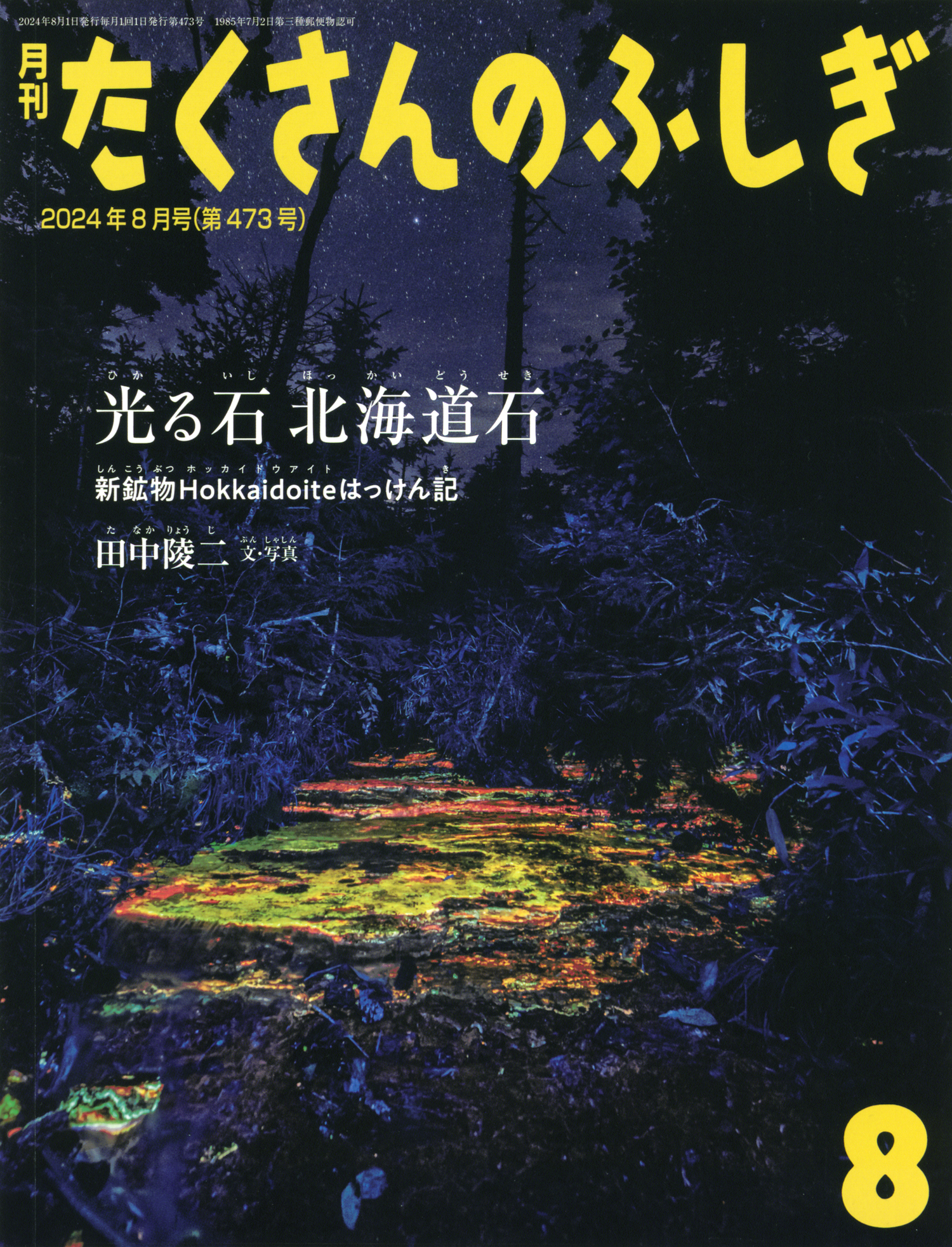 <たくさんのふしぎ>光る石 北海道石2024年08月号