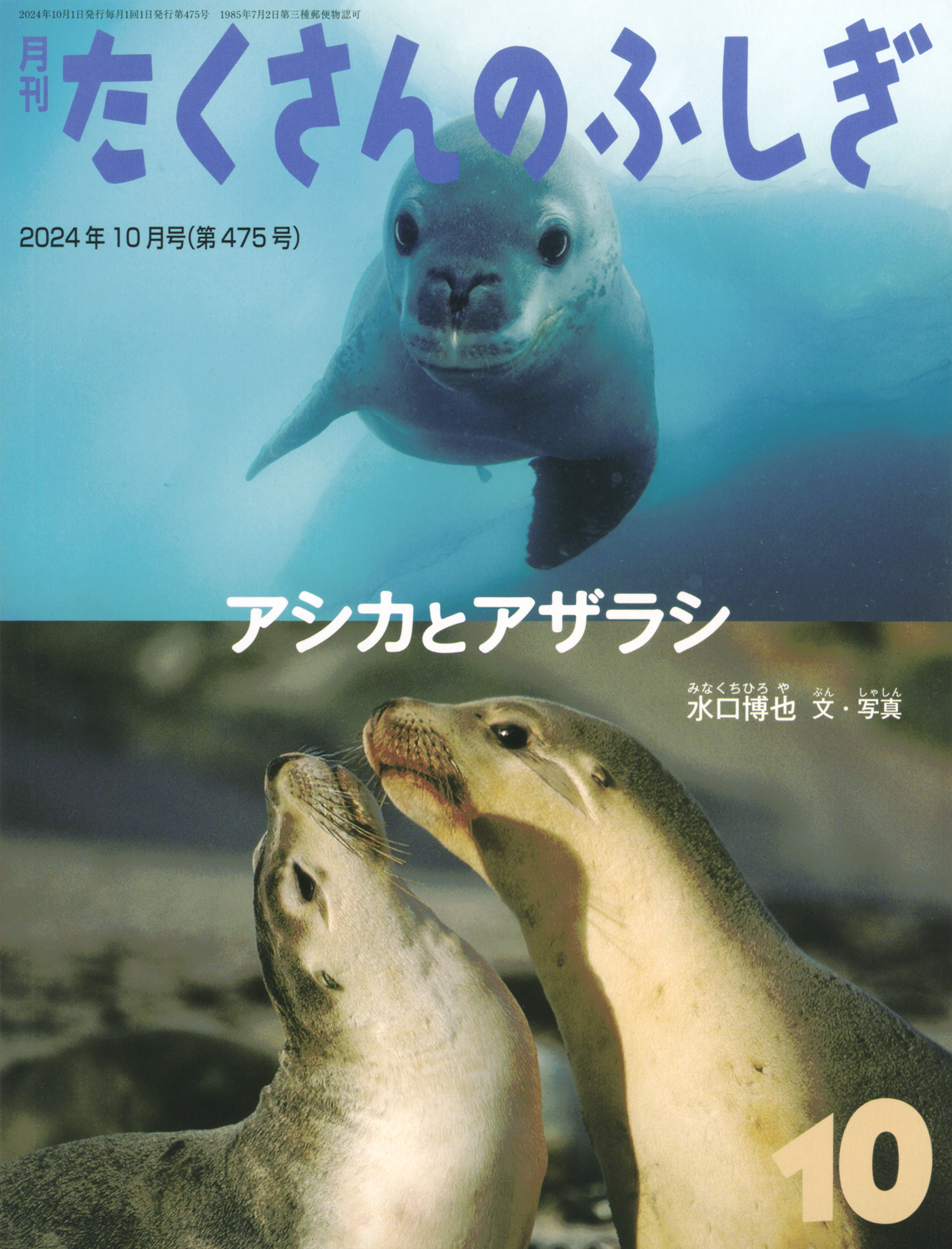 <たくさんのふしぎ>アシカとアザラシ2024年10月号