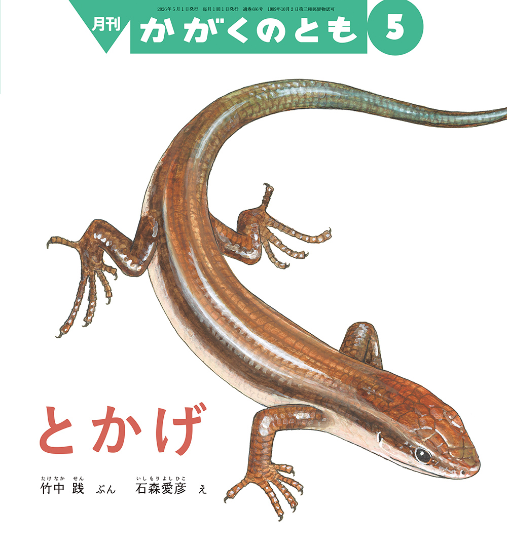 とかげ(かがくのとも)　2026年5月号