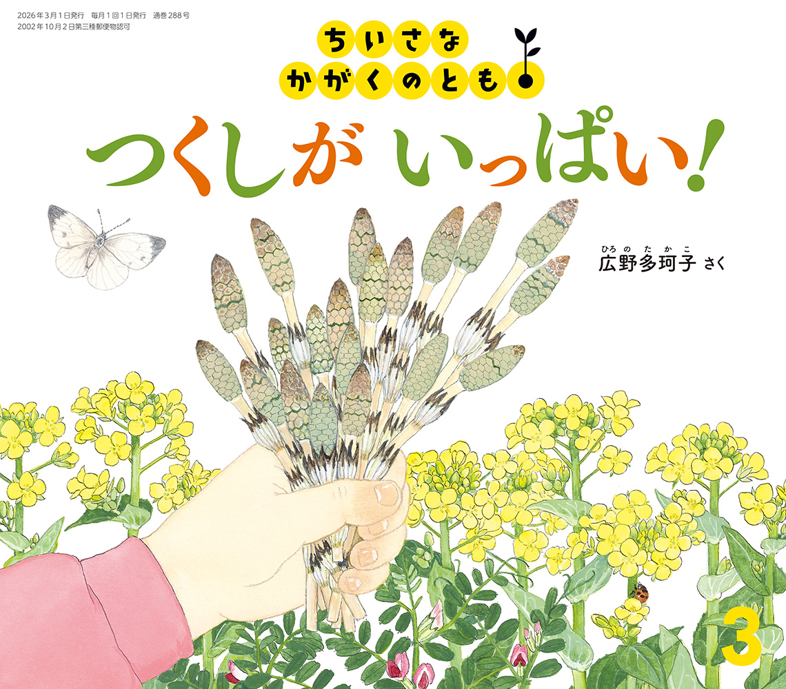 <ちいさなかがくのとも>つくしが いっぱい！