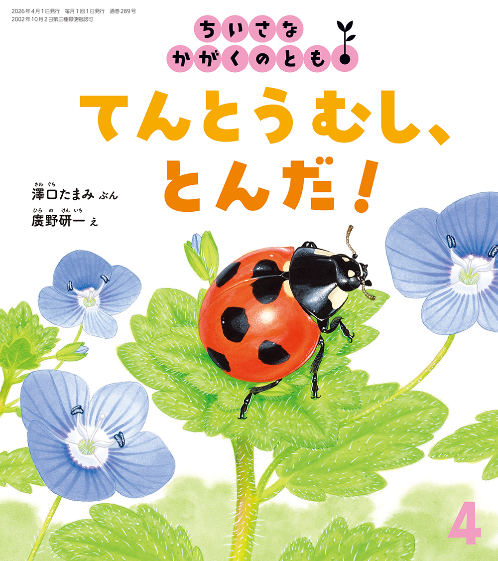 <ちいさなかがくのとも>てんとうむし、とんだ！