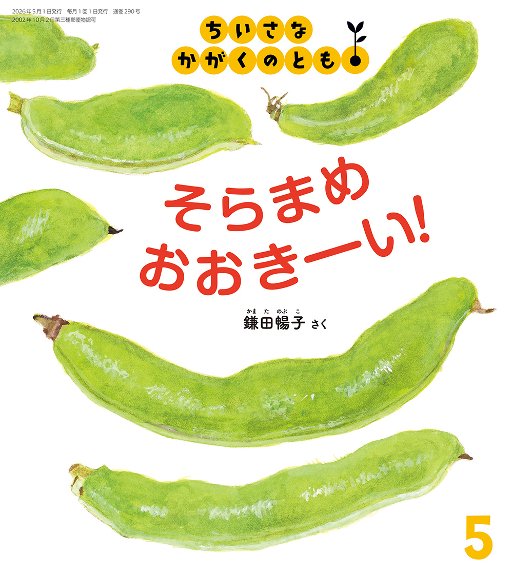 そらまめ　おおきーい！(ちいさなかがくのとも)　2026年5月号 