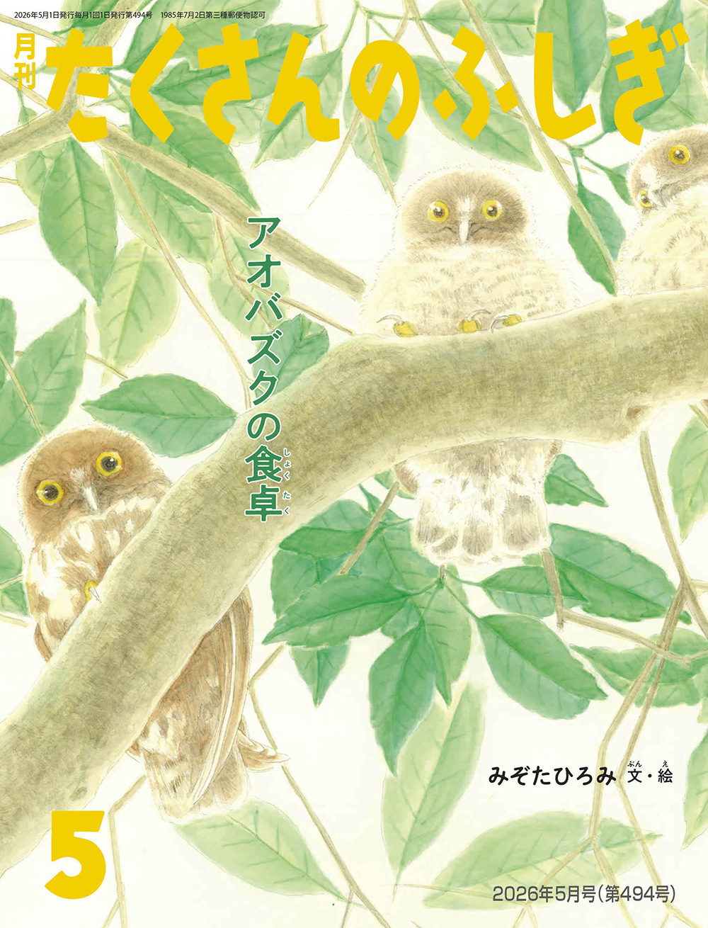 アオバズクの食卓(たくさんのふしぎ)　2026年5月号 