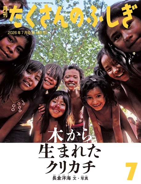 木から生まれたクリカチ(たくさんのふしぎ)　2026年7月号 