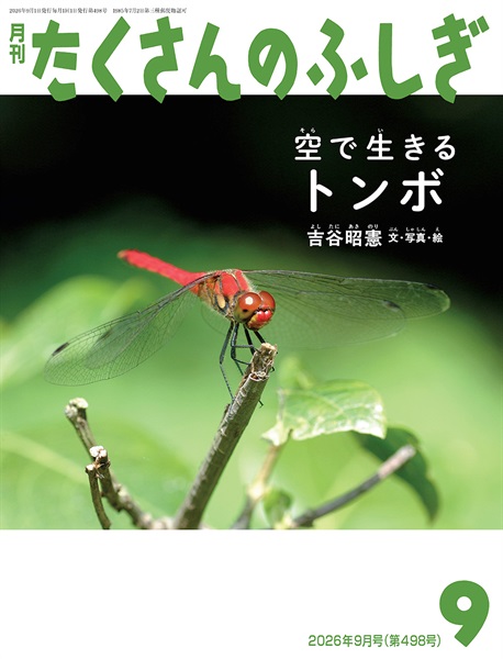 空で生きる　トンボ(たくさんのふしぎ)　2026年9月号