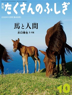 馬と人間(たくさんのふしぎ)　2026年10月号