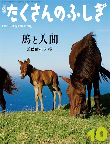 馬と人間(たくさんのふしぎ)　2026年10月号