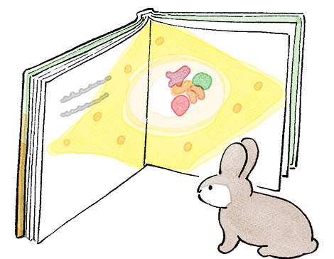 絵本お届け便のイメージ